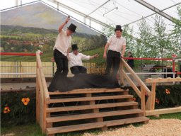 Treffen Feuerwehrsenioren Oberrot 2013